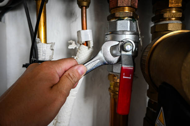 Best Plumbing Inspection Services  in Bishopville, SC